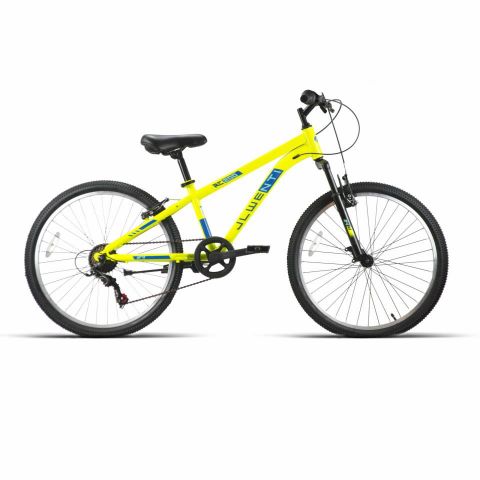 BICI 24