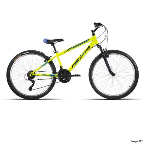 BICI 24